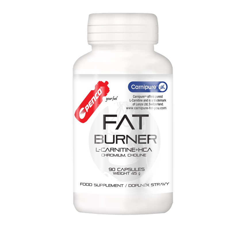 Spalovač tuků FAT BURNER 90 tbl