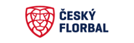 Český florbal