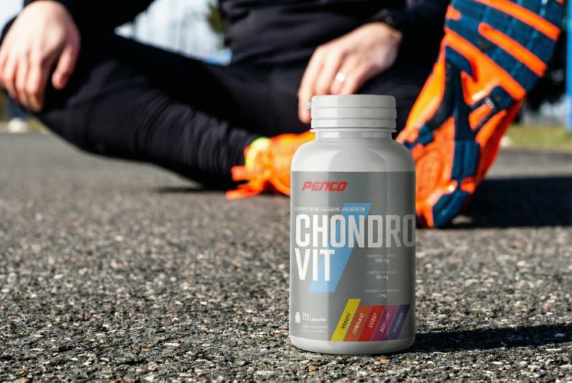 CHONDROVIT 120 tobolek